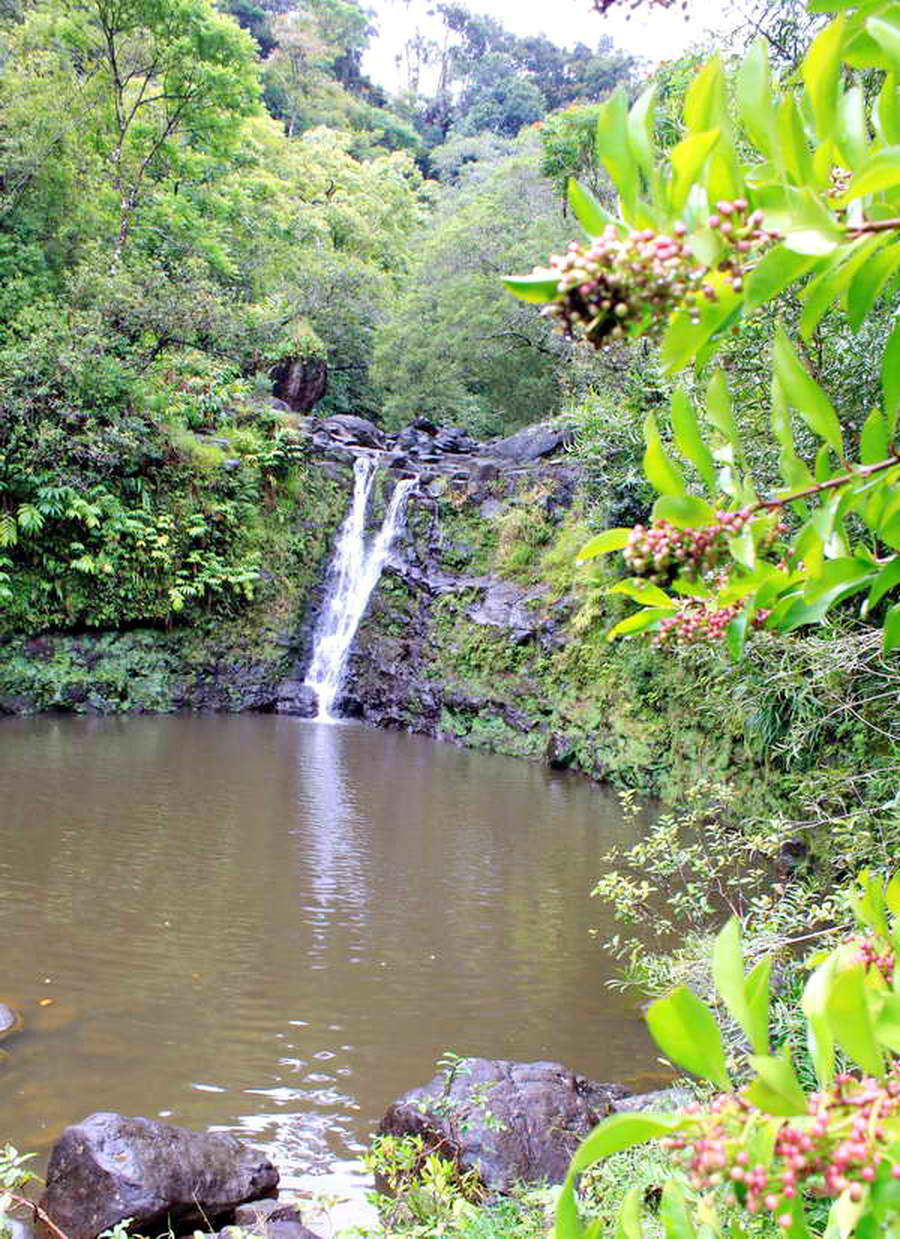 many gorgeous waterfalls hana road waterfall