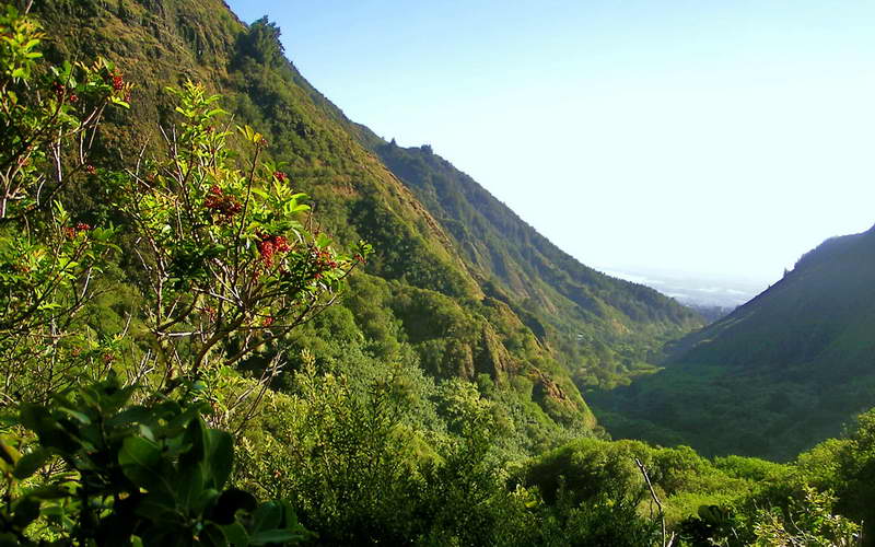 View Down Iao Valley Maui Looking towards Wailuku from Iao
